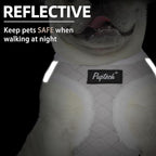 PUPTECK Plush Dog Harness and Leash Set for Small Medium Dogs No Pull Step-in Soft Mesh Puppy Cat Winter Vest Harnesses Reflective at Night Warm, Plush Grey, XS