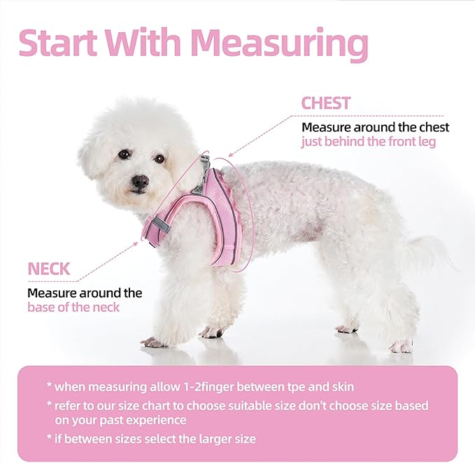 Solmoony Sparkly XXXS Dog Harness and Leash Set, Step in Soft Light Puppy Vest, Breathable Reflective Pet Harness for Walking, Puppy Harness for Small Dogs Cats (Red, XXXS)