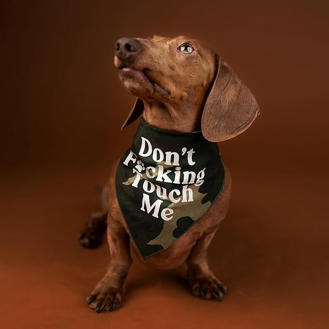 Don't F*ckin Touch Me Dog Bandana (Green, OS 658)