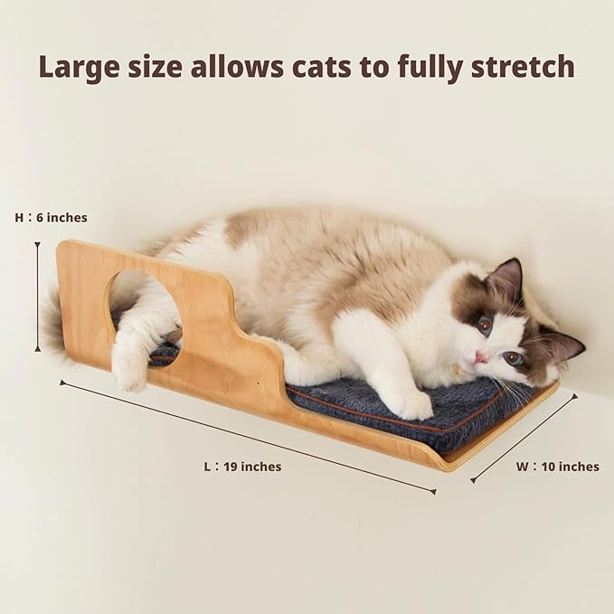 Cat Wall Shelves, Creative Design Cat Shelf with Peephole, 19 x 10 inch Cats Wall Furniture with Comfortable Pad, Cats Perch for Sleeping, Playing, and Scratching.
