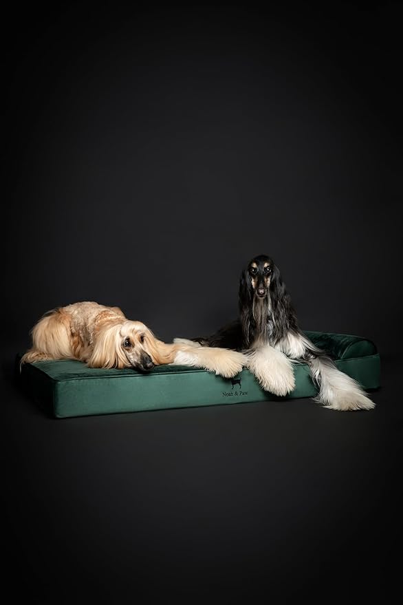 NOAH & PAW Giant Dog Bed XXL 55x45x9.5 Inch, Orthopedic Dog Beds, Eggshell Memory Foam Infused with Cooling Gel, Waterproof, Machine Washable, Includes Inner Cover (Velvet Collection)
