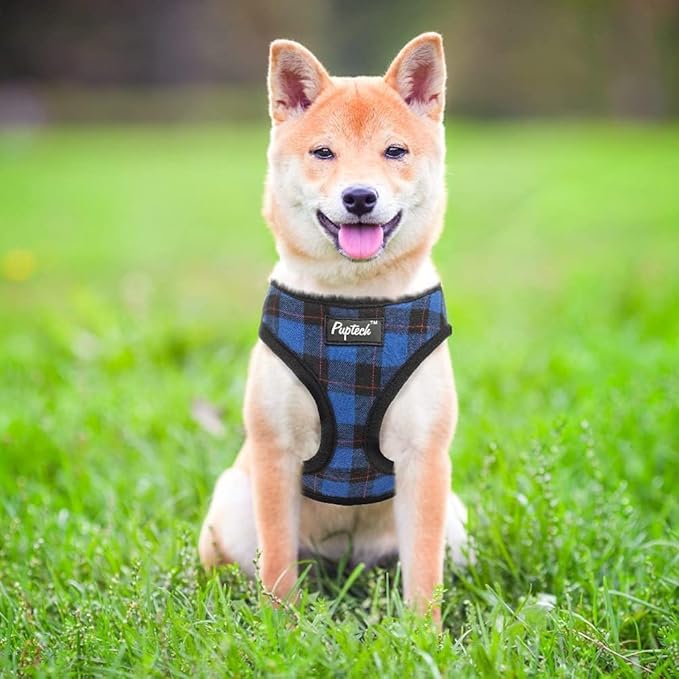 PUPTECK Soft Mesh Dog Harness and Leash Set Pet Puppy Cat Comfort Padded Vest No Pull Harnesses, Navy Blue, S