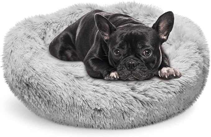Whiskers & Friends Cat Bed Dog, Cat Beds for Indoor Cats Washable, Orthopedic Soft Fluffy Round Calming Pet Bed for Small to Large Kitty Kittens & Dogs, Small Dog Beds & Furniture
