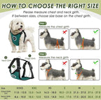 SlowTon Dog Seat Belt Harness for Car, Dog Car Harness Adjustable Mesh Breathable & Dog Seatbelt Safety Tether with Elastic Bungee for Small Medium Large Pets(Green, Double Clip, XXS)
