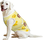 Personalized Matching Dog and Owner Clothes Separately Sold, Custom Face Nightgown for Women Dogs