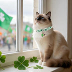Cat Collar,2Pack St.Patrick's Day Cat Collars Cute Breakaway Kitty Collars,Spring Green Shamrock Cat Collar with Bell, Lucky Clover Kitten Collars with Safety Buckle for Girl & Boy Cats