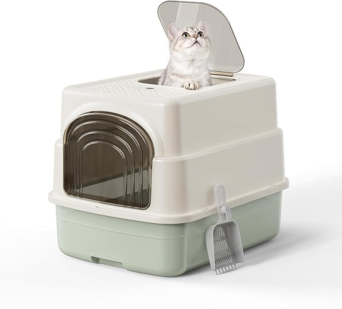 Basics Cat Litter Box with Lid,Fully Enclosed Litter Box with Scoop,Standard Kitty Litter Boxes with Drawer,Front Entry Top Exit Kitty Box,Non-Sticky, Anti-Leakage, Easy Cleaning (Green)