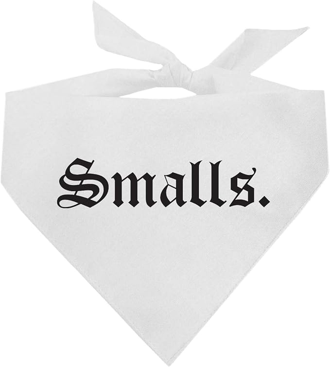Smalls Matching 90's Hip Hop Dog Bandana (White, OS 407)