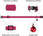 Breakaway Cat Collar Leather with Removable Bell - 13 Colors Available - Soft Adjustable Girl Boy Safety Lightweight Pet Kitten Collars Pink Brown Blue Green Red Orange Black (Pink)