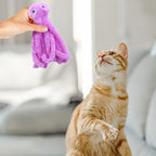 DONGKER Cat Plush Toys,3 PCS Octopus Shaped Cat Teaser Toy with Little Catnip Inside for Kitten Play Halloween Christmas Xmas Party
