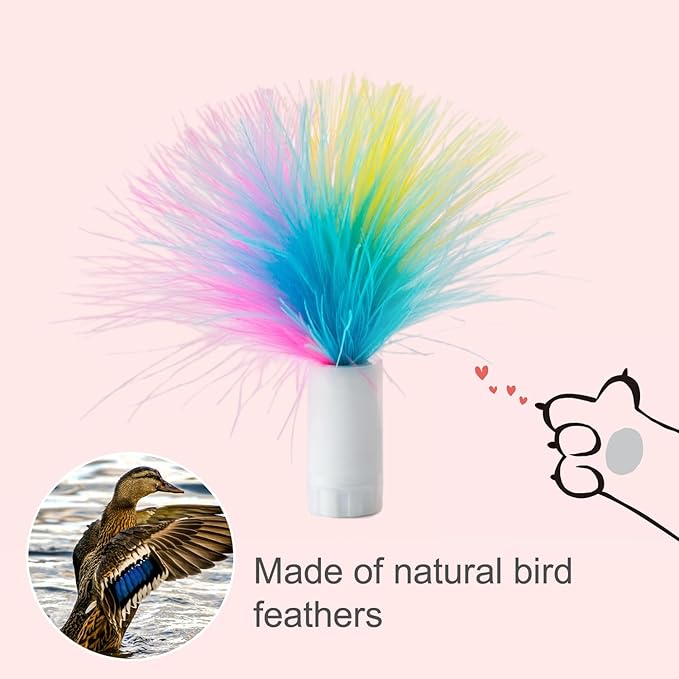 ORSDA 6PCS Feathers Replacement ONLY Interactive Cat Toys