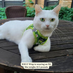 Lucy & Co. How I Roll Step-in Cat Harness & Leash Bundle – Reflective, Breathable & Adjustable Harness for Cats, Kittens & Small Dogs, Lightweight & Secure and Dual Leash Clips – Small