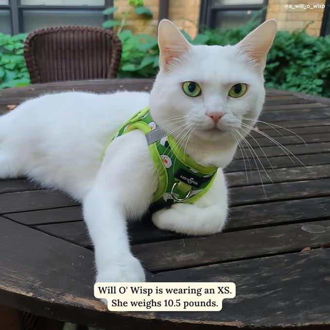 Lucy & Co. How I Roll Step-in Cat Harness & Leash Bundle – Reflective, Breathable & Adjustable Harness for Cats, Kittens & Small Dogs, Lightweight & Secure and Dual Leash Clips – Small