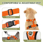 SlowTon Dog Seat Belt Harness for Car, Dog Car Harness Adjustable Mesh Breathable & Dog Seatbelt Safety Tether with Elastic Bungee for Small Medium Large Pets(Orange, Double Clip, M)