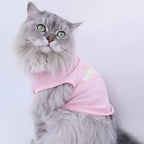 Custom Dog Shirt,Personalized Pet Apparel with Name Text Photo Image,Lightweight Breathable Puppy Kitten Cotton Vest for Small Medium Large Dogs Cats,Puppy Gift (Gray, 4X-Large)