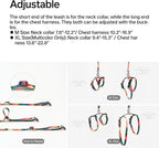 pidan Cat Harness and Leash Set, Cats Escape Proof - Adjustable Kitten Harness for Large Small Cats, Lightweight Soft Walking Travel Petsafe Harness / Green /lime