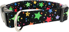 The Benny Dog Collar (Medium)