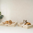 EHEYCIGA Orthopedic Dog Bed for Small Dogs, Waterproof Memory Foam Small Pet Beds with Sides, Non-Slip Bottom and Egg-Crate Foam Medium Dog Couch Bed with Washable Removable Cover, Graige