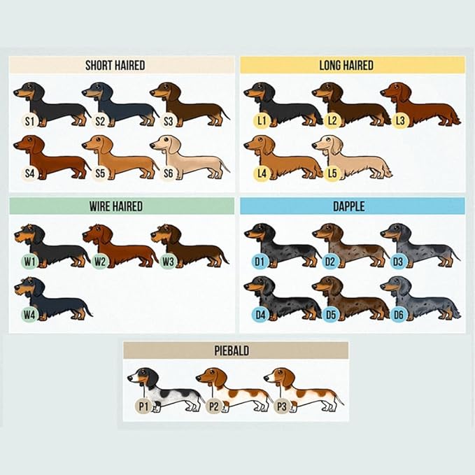 Customized Dachshund Crewneck, Custom Dog Pullover, Personalized Sausage Dog Sweatshirt, Unique Cream Pup Apparel, for Pet Lovers
