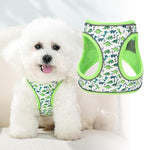 Step in Dog Harness and Leash Set, Flower Adjustable Easy Walk Puppy Harnesses, Soft Mesh Pet Vest Harness Small Size Dog Adjustable No Pull Dog Harness for Small Dogs and Cats(Dinosaur1, XXS)