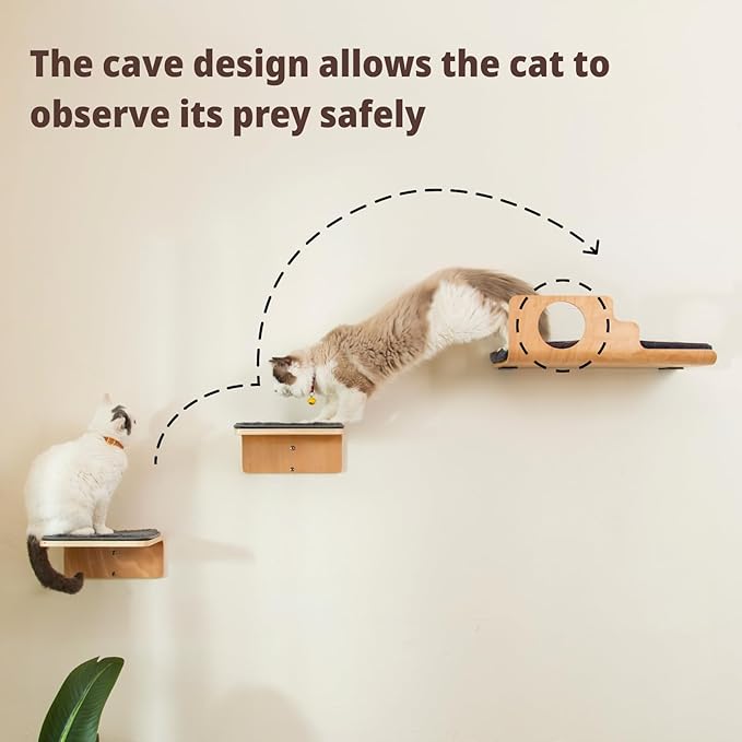 Cat Wall Shelves with 2 Steps, Creative Design Cat Shelf with Peephole, 19 x 10 inch Cats Wall Furniture with Comfortable Pad, Cats Perch for Sleeping, Playing, and Scratching.