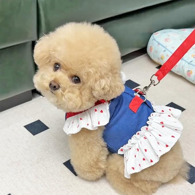 ANIAC Denim Dog Dress Harness with Leash Set Cute Small Dogs Clothes Girl Heart Patterns Puppy Dresses Breathable Mesh Cat Harness Leash Strawberry Chihuahua Yorkie Outfit (White Heart, XX-Large)