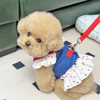 ANIAC Denim Dog Dress Harness with Leash Set Cute Small Dogs Clothes Girl Heart Patterns Puppy Dresses Breathable Mesh Cat Harness Leash Strawberry Chihuahua Yorkie Outfit (White Heart, X-Large)