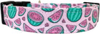 The Watermelon in Pink Dog Collar (X-Large (1.5" Wide))
