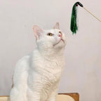IUHKBH Tinsel Cat Wands 4 PCS Shiny Teaser Wands with Bell Vibrant Wooden Cat Stick for All Breed Size