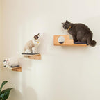 Cat Wall Shelves with 2 Steps, Creative Design Cat Shelf with Peephole, 19 x 10 inch Cats Wall Furniture with Comfortable Pad, Cats Perch for Sleeping, Playing, and Scratching.