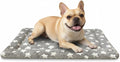 Dog Bed Mat, Dual-Sided Dog Crate Bed Mat - Ultra Soft & Machine Washable Kennel Pad for Small Dogs, All-Season Comfort Pet Bed for Crates, Travel, and Home, Star Gray, 24 x 16 Inch