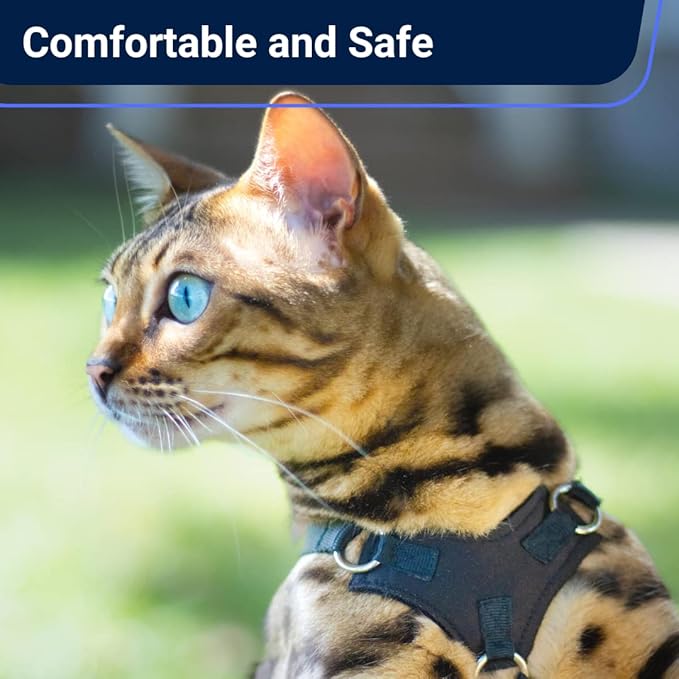 Houdini™ Escape Proof Cat Harness and Leash Set by OutdoorBengal for Walking Cats and Kittens (Vegan Leather, Large Cat)
