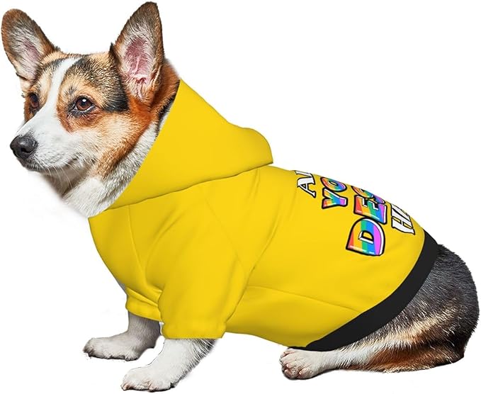 Personalized Dog Hoodie Custom Hooded Pet Warm Pullover Sweatshirt with Name Number Clothes for Chihuahua Pupppy Kitten Hoodies Puppy Soft Sweater Winter Small Dogs Cats, Gold, L,