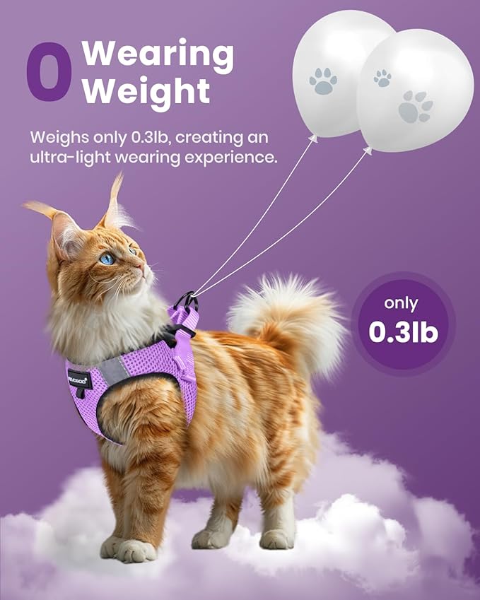 FAYOGOO Cat Harness, Cat Leash and Harness Set for Walking Escape Proof, Harness for Small Cats/Small Dogs, Large Kitten/Puppy Harness and Leash, Harness for Cats S-XXL(Modern Violet, X-Large)