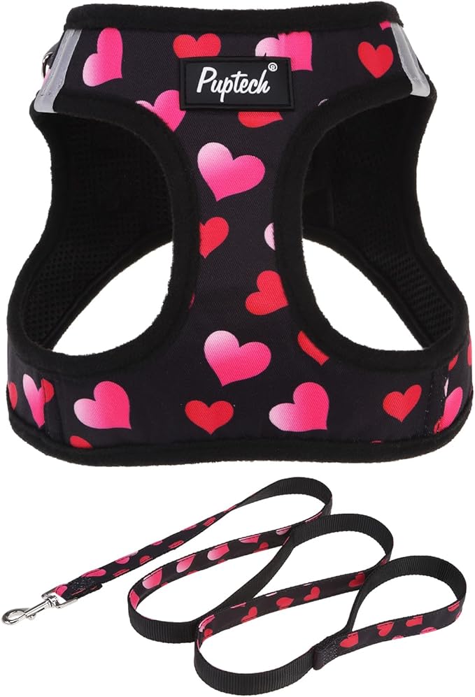 PUPTECK Dog Harness and Leash Set for Small Medium Dogs No Pull Step-in Soft Mesh Puppy Cat Vest Harnesses Reflective at Night Valentine, Black&Pink Heart, M