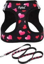 PUPTECK Dog Harness and Leash Set for Small Medium Dogs No Pull Step-in Soft Mesh Puppy Cat Vest Harnesses Reflective at Night Valentine, Black&Pink Heart, M