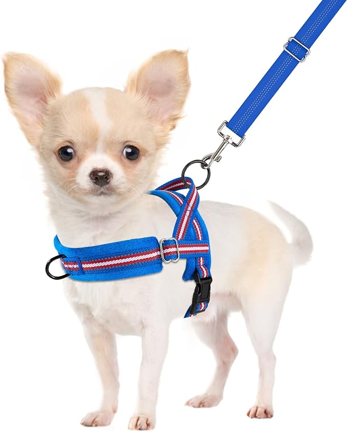 SlowTon No Pull Small Dog Harness and Leash Set, Puppy Soft Vest Harness Neck & Chest Adjustable, Reflective Lightweight Harness & Anti-Twist Pet Lead Combo for Small Medium Dogs (DB-Front Clip, XS)
