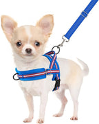 SlowTon No Pull Small Dog Harness and Leash Set, Puppy Soft Vest Harness Neck & Chest Adjustable, Reflective Lightweight Harness & Anti-Twist Pet Lead Combo for Small Medium Dogs (DB-Front Clip, XS)