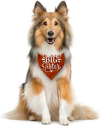 Big Sister Bandanas for Dog, Pet Pregnancy Announcement, Dark Orange Dog Bandana, Dogs Baby Announcement, Pet Bandana for Large Dogs (L)