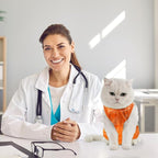 Avont Cat Recovery Suit - Kitten Onesie for Cats After Surgery, Cone of Shame Alternative Surgical Spay Suit for Female Cat, Post-Surgery or Skin Diseases Protection -Tie-dye Orange(S)