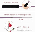 SONGWAY Cat Teaser Wand Toy - 10 Pieces Insect Cat Feather Toy Set with Retractable Wand and Feather Refills with Bell, Interactive Toys for Indoor Cats