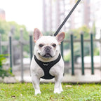PUPTECK Soft Mesh Dog Harness and Leash Set Pet Puppy Cat Comfort Padded Vest No Pull Harnesses, Solid Black, L