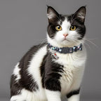 Cat Collar Breakaway, 2 Pack Cotton Cats Collars with Bells, Cute Planet Shaped for Girl Boy Kittens