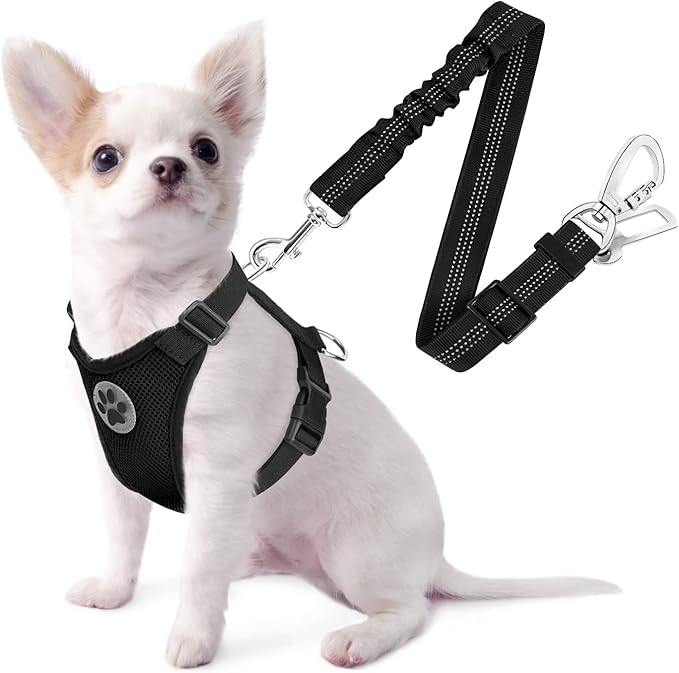 SlowTon Dog Seat Belt Harness for Car, Dog Car Harness Adjustable Mesh Breathable & Dog Seatbelt Safety Tether with Elastic Bungee for Small Medium Large Pets(Black, Double Clip, XXS)