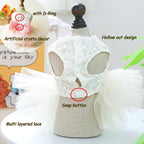 White Small Dog Wedding Dress with D-Ring, Bow Knot Puppy Clothes for Small Dog Girl,Cat Birthday Outfit, Pet Party Dress for Kitten Chihuahua Yorkie Pomeranian (White, X-Small)