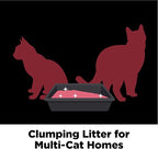 ARM & HAMMER Clump & Seal Platinum Cat Litter, Multi-Cat, 14-Day Odor Control, Rock-Hard Clumps, 37 lbs – Powerful Odor Eliminator with Baking Soda