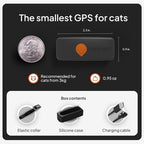 Weenect Cat XS - New GPS Tracker for Cats | Real-time Mini GPS Tracker for Cats | Smallest Model on The Market | Collar Included | Subscription Required (Black, Tracker XS)