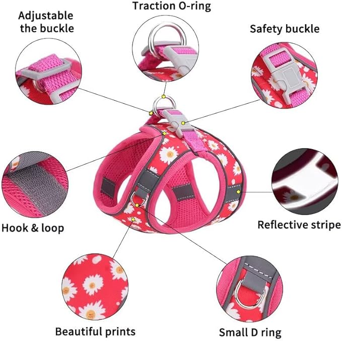 Dog Harness Small Sized Dog - No Pull Reflective Adjustable - Step-in for Small, Medium, Large Dogs & Cats- Easy Control, Comfortable Fit, and Leash Option for Walking and Training Green Dinosaur M