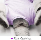 Cat Surgery Recovery Suit Cat Onesie for Cats After Surgery Spay Surgical Abdominal Wound Skin Diseases E-Collar Alternative Wear (Pruple-M)