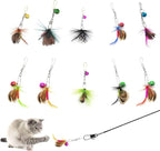 Cat Insect Feather Toys Replacement Cat Toy Wand Refills, 10 Pieces Mini Insect Cats Toy Feathers Refill, Interactive Cats Teaser Wand Attachments, with Bell